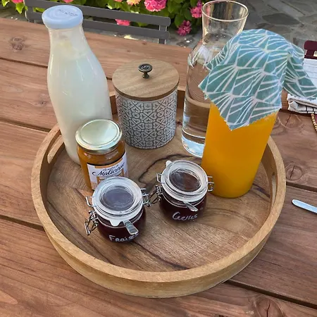 Pensjonat Le Logis Du Pic Saint-Mathurin (Maine-et-Loire)