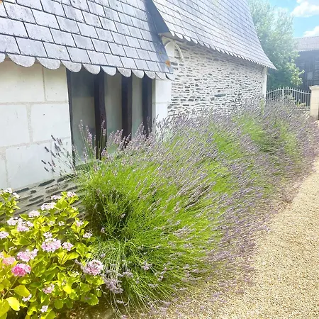 Le Logis Du Pic Pensión