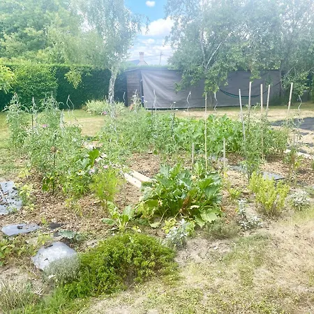 Pensjonat Le Logis Du Pic Saint-Mathurin (Maine-et-Loire)