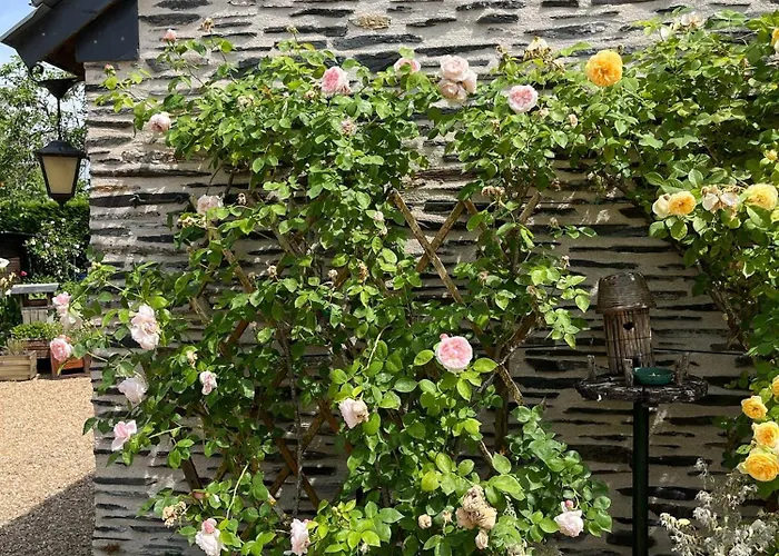 Penzion Le Logis Du Pic 3*