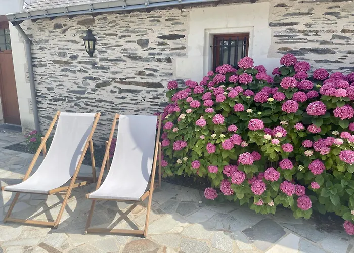 Le Logis Du Pic Penzion Saint-Mathurin (Maine-et-Loire)