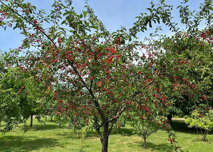 Pensión Le Logis Du Pic 3*