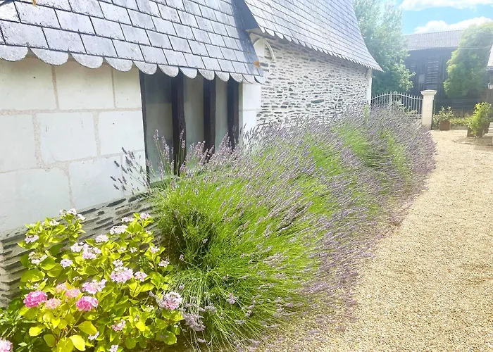 Le Logis Du Pic Penzion