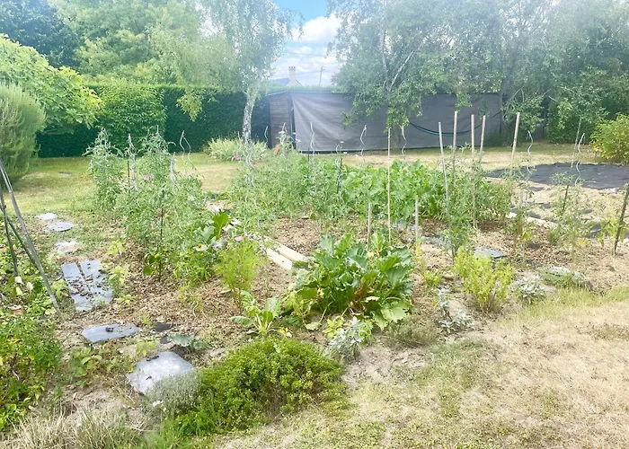 Pensión Le Logis Du Pic Saint-Mathurin (Maine-et-Loire)